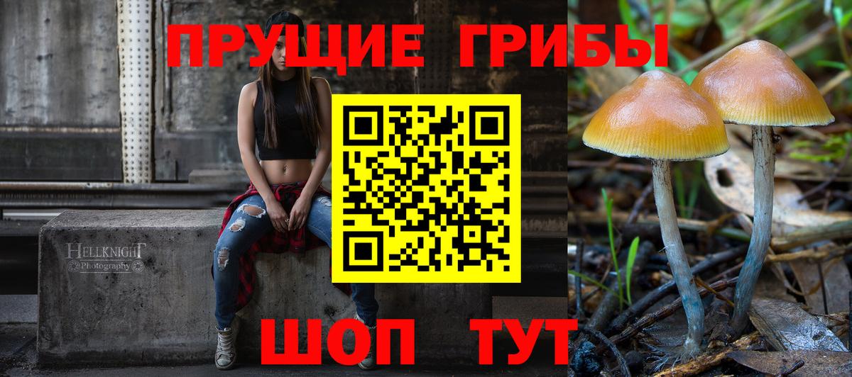 Советская Гавань  Галлюциногенные грибы Magic Shrooms  Вход с VPN  Галлюциногенные грибы Psilocybine cubensis 